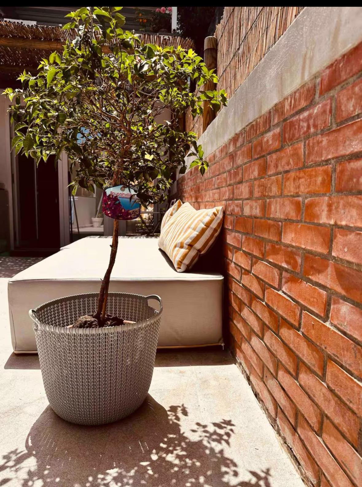 Casa Capri Mores Exterior foto